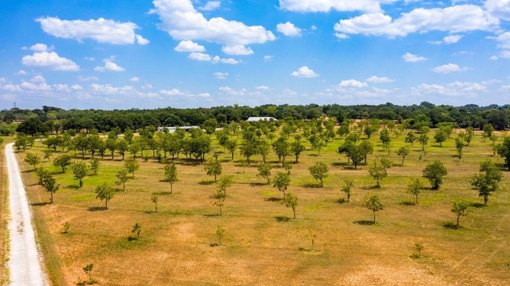 Pecan Farm Haus 弗雷德里克斯堡 外观 照片