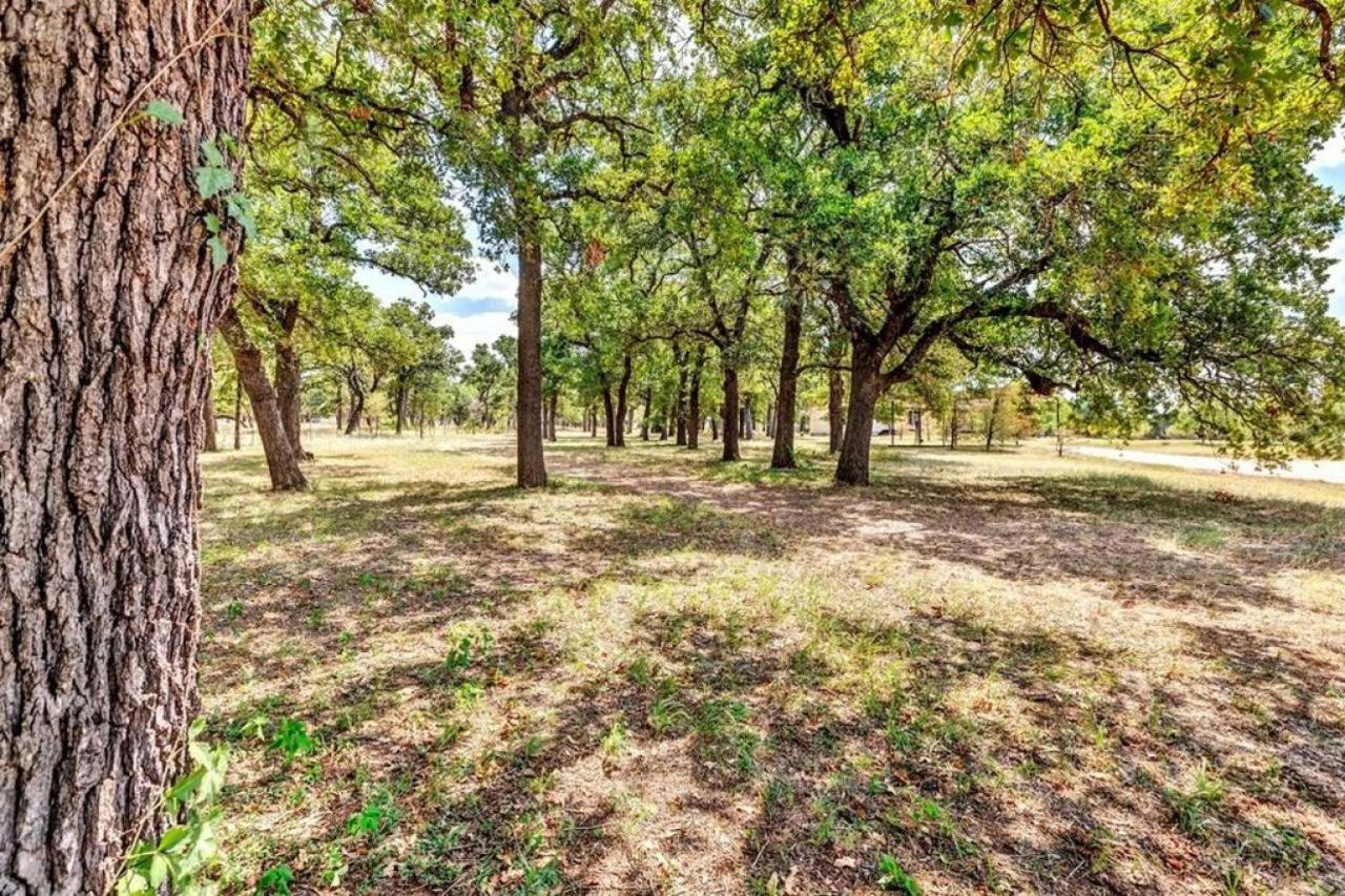 Pecan Farm Haus 弗雷德里克斯堡 外观 照片